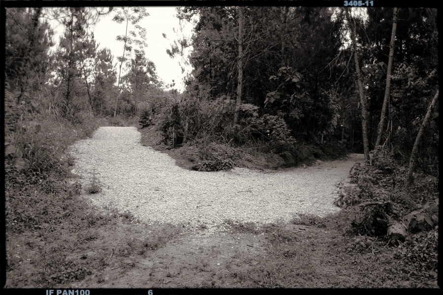 靖西百壁恐龙谷 - 靖西市·靖西网