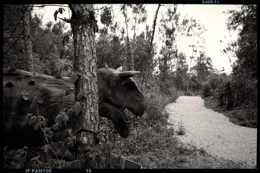 靖西百壁恐龙谷 - 靖西市·靖西网