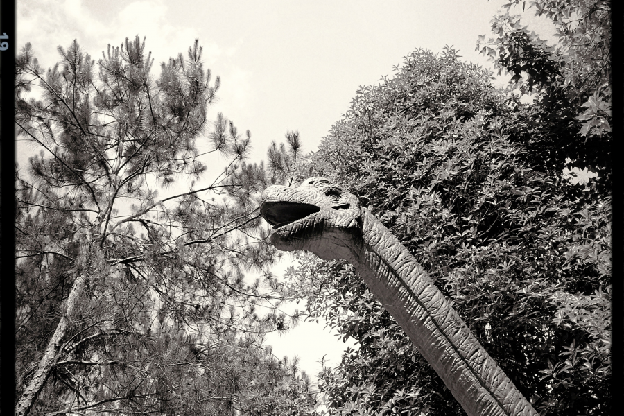 靖西百壁恐龙谷 - 靖西市·靖西网