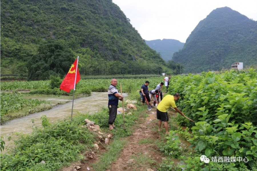 靖西部分村屯遭洪涝灾害，平莽村是安德辖区受灾最严重的村屯 - 靖西市·靖西网