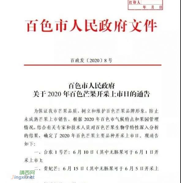 百色芒果上市啦！！！ - 靖西市·靖西网