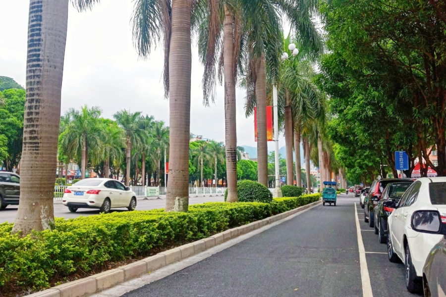 继田阳后，凌云县正式向其上属地级市提出撤县设区提议；定位为“后花园”。 - 靖西市·靖西网