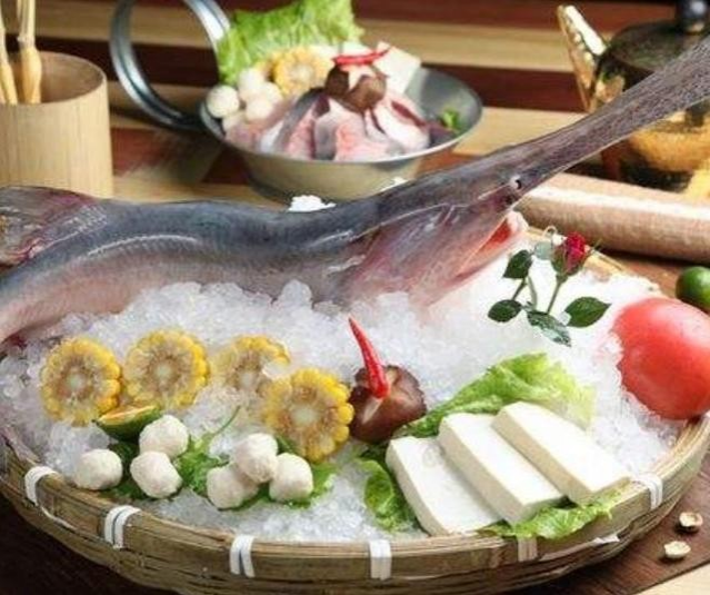 原产于美国的“鸭嘴鱼”，入侵到了中国的河流，专家：这是好事 - 靖西市·靖西网