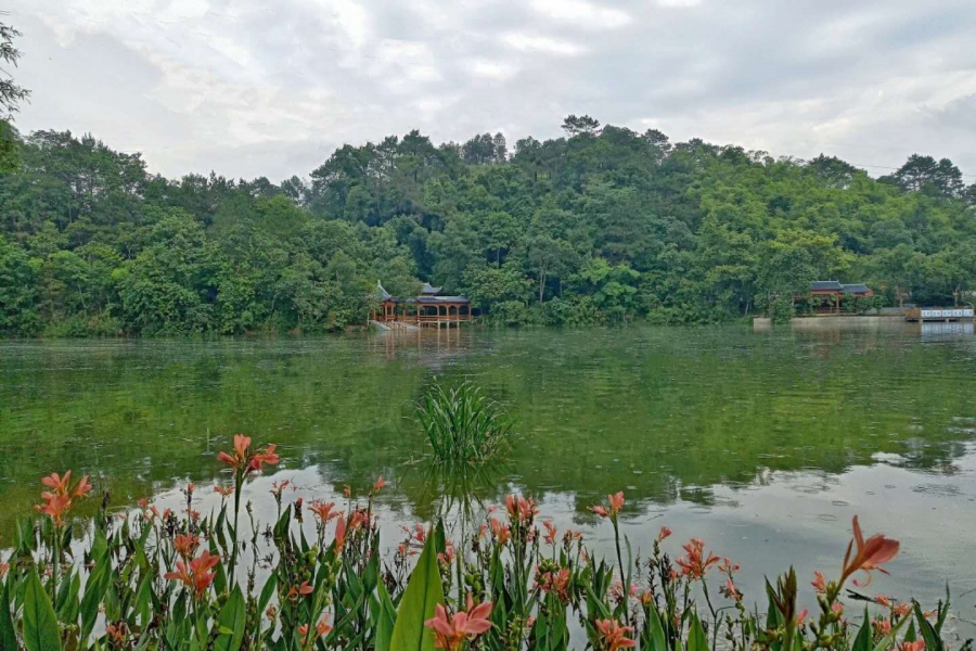 今天靖西火车晚点两小时 - 靖西市·靖西网