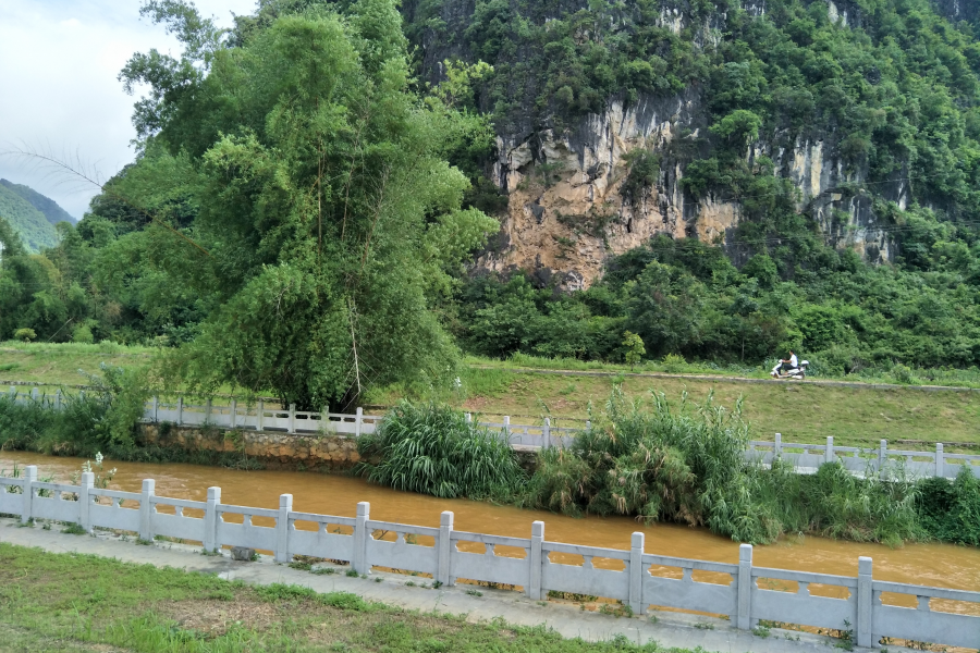 野马河边的杂草已经清理完毕，美哒哒了 - 靖西市·靖西网