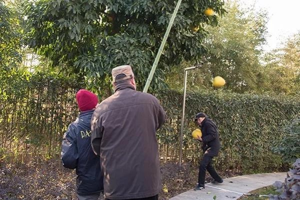 "让我们同居吧" - 靖西市·靖西网