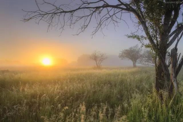 "让我们同居吧" - 靖西市·靖西网