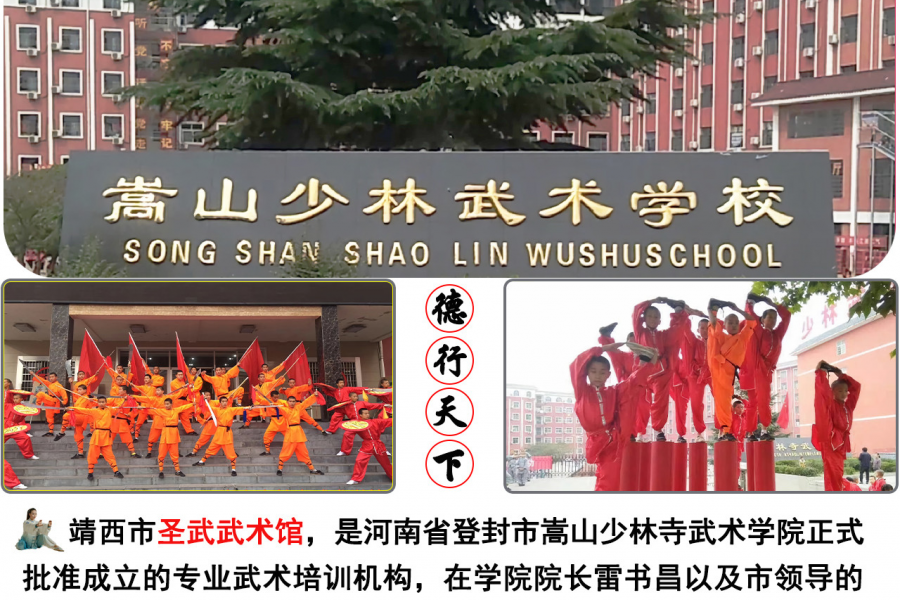 传程武术文化,弘扬民族精神。《圣武武术馆》 - 靖西市·靖西网