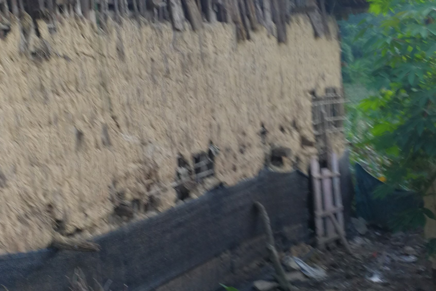 土鸡土鸭土货又来了！ - 靖西市·靖西网