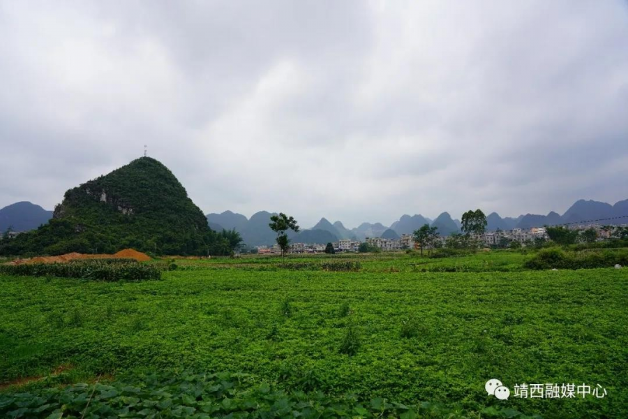 靖西市长十连转，拟新建十所幼儿园 - 靖西市·靖西网