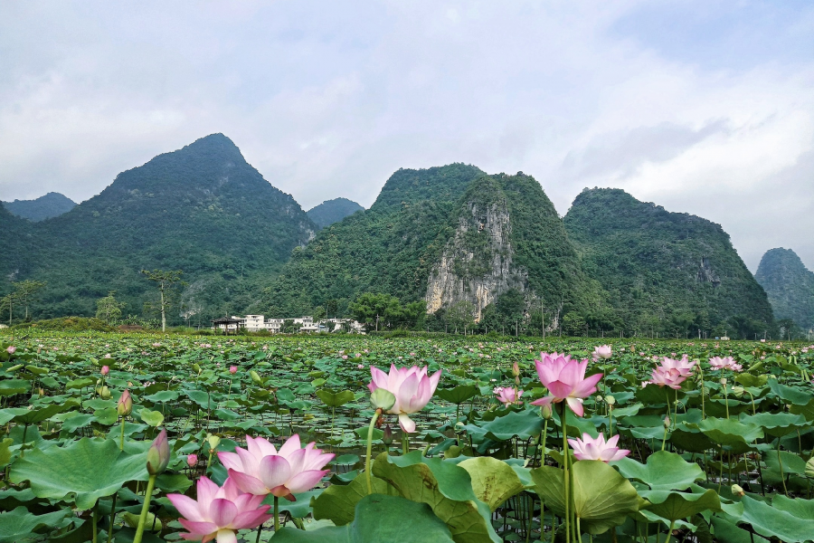 『带我去百色』——靖西 - 靖西市·靖西网