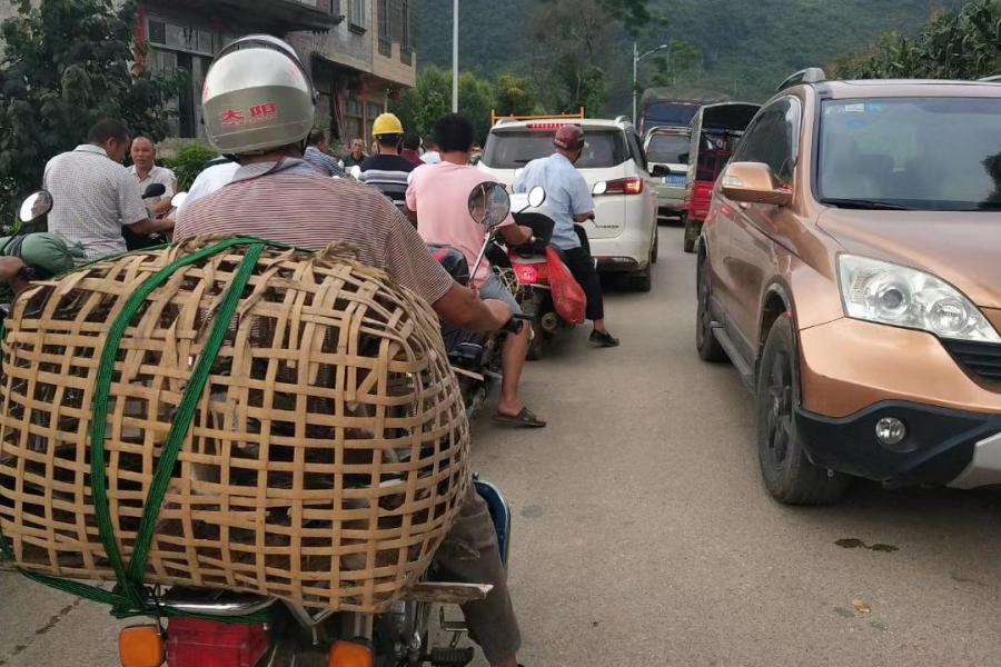 靖西的乡镇街天还是很热闹的，一大早堵成狗 - 靖西市·靖西网