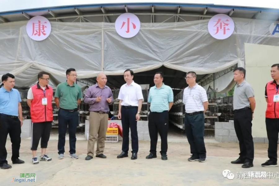 百色市人大常委会主任周武红率调研组到靖西市开展脱贫攻坚挂牌作战工作调研 - 靖西市·靖西网