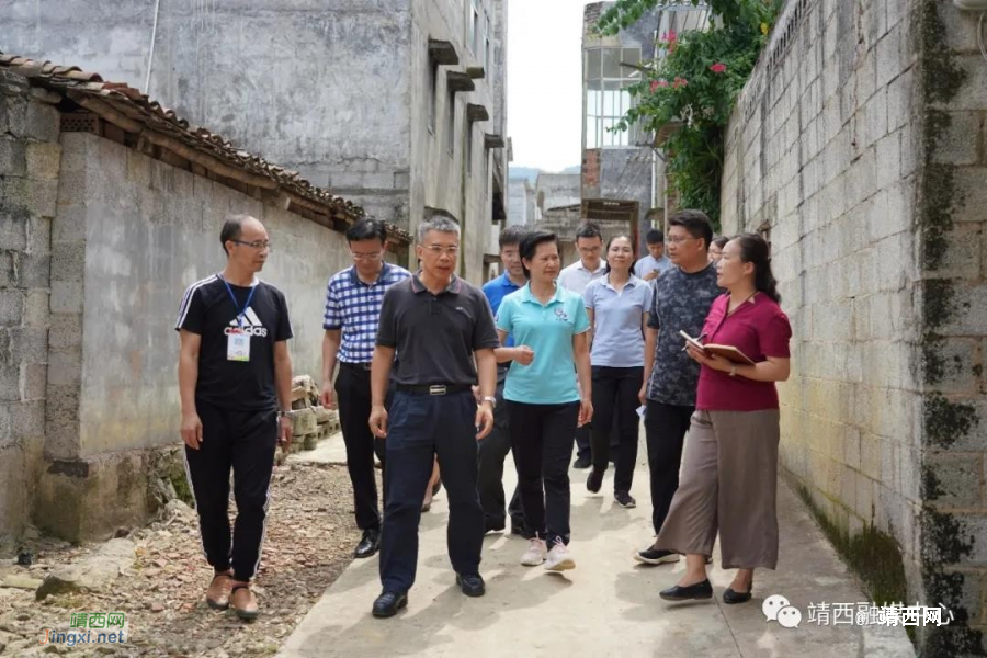 黄智宇在督导检查脱贫攻坚普查现场登记工作，确保普查数据经得起历史和人民检验 - 靖西市·靖西网