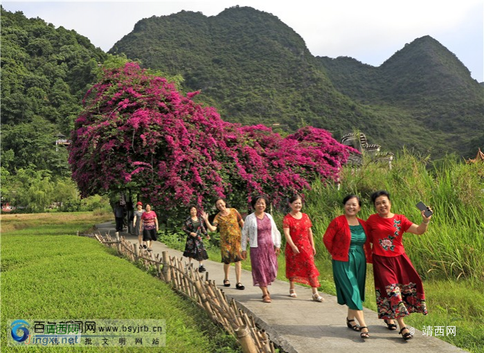 靖西：逐梦如画山水间 生态田园引客来 - 靖西市·靖西网