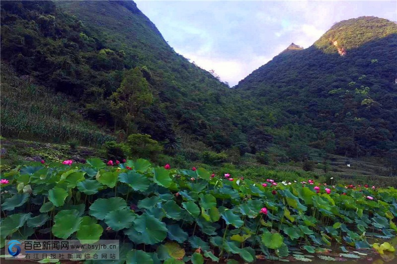 盛夏来乐业这个地方避暑，尽享乡间美景！ - 靖西市·靖西网
