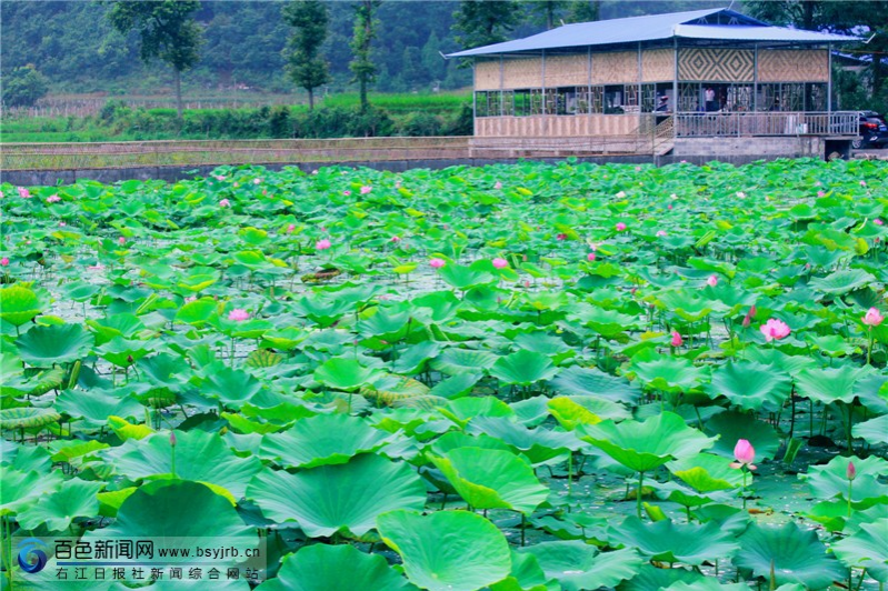 盛夏来乐业这个地方避暑，尽享乡间美景！ - 靖西市·靖西网
