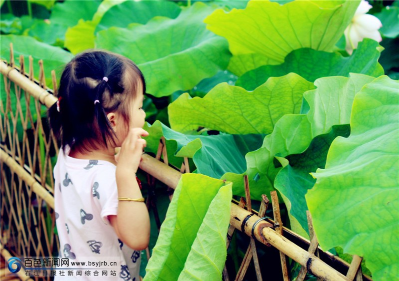 盛夏来乐业这个地方避暑，尽享乡间美景！ - 靖西市·靖西网