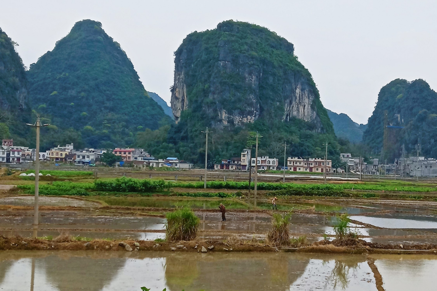 靖西三大景：龙潭，旧州，鹅泉 - 靖西市·靖西网