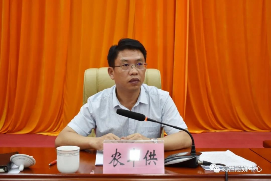 靖西市召开2020年扶贫领域腐败和作风问题专项治理工作第二次例会 - 靖西市·靖西网