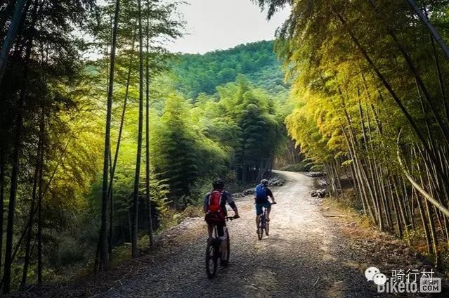 全国各地的自行车主题公园，有机会一定要去！ - 靖西市·靖西网