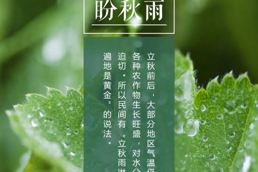 今日立秋 | 谁说秋萧瑟，立秋也是个有“温度”的节气 - 靖西市·靖西网