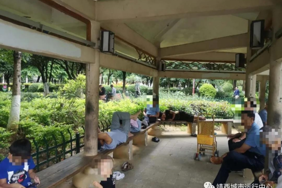 公园里的不文明行为，你有吗 - 靖西市·靖西网