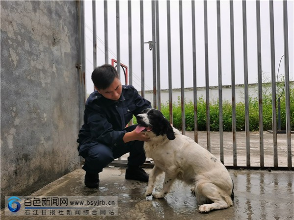 警犬训导员陆建仿：“我们是战友，更是兄弟！” - 靖西市·靖西网