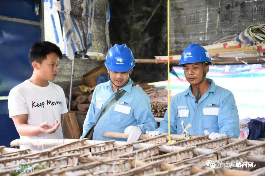 靖西市80后党员返乡创业 带领村民“织”出致富网 - 靖西市·靖西网