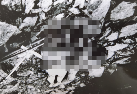 德保：28年前的血色“浪漫” - 靖西市·靖西网