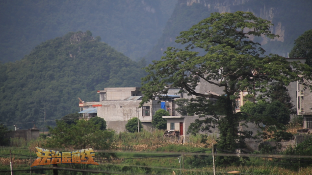 德保：28年前的血色“浪漫” - 靖西市·靖西网