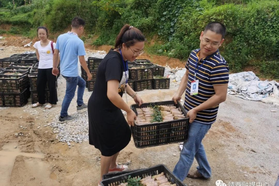 在靖西，有这么一名女干部 - 靖西市·靖西网