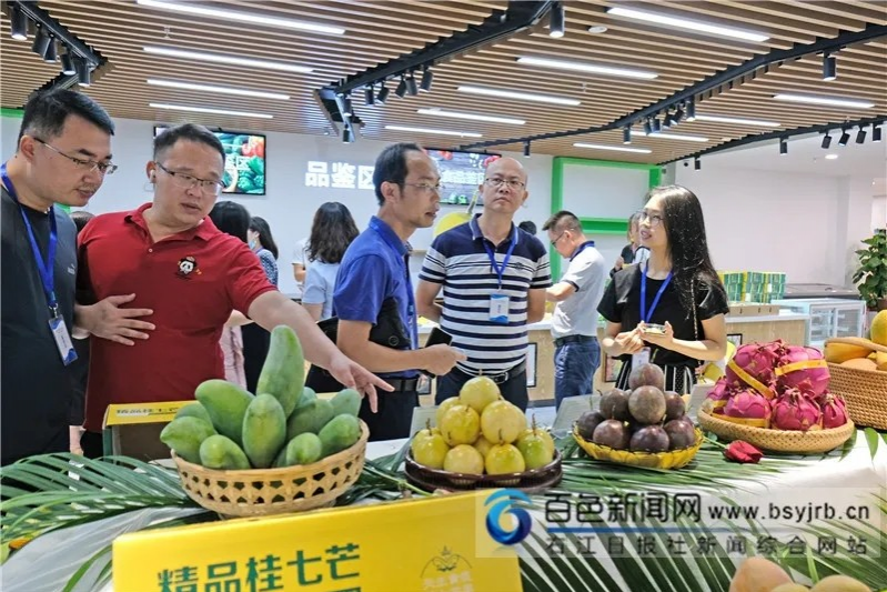 东西部协作消费扶贫（百色芒果）电商峰会在深圳举行 现场达成3000万元的采购意向 - 靖西市·靖西网