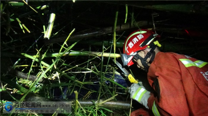 男子躲雨被竹子压倒 消防员分段切割紧急救援 - 靖西市·靖西网