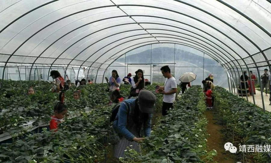 靖西：以文旅促发展 以口岸促脱贫 - 靖西市·靖西网