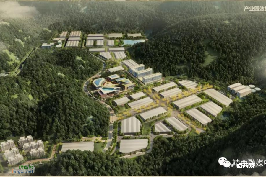 靖西：以文旅促发展 以口岸促脱贫 - 靖西市·靖西网