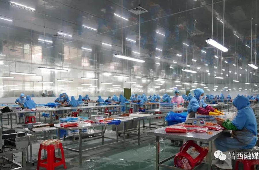 靖西：以文旅促发展 以口岸促脱贫 - 靖西市·靖西网