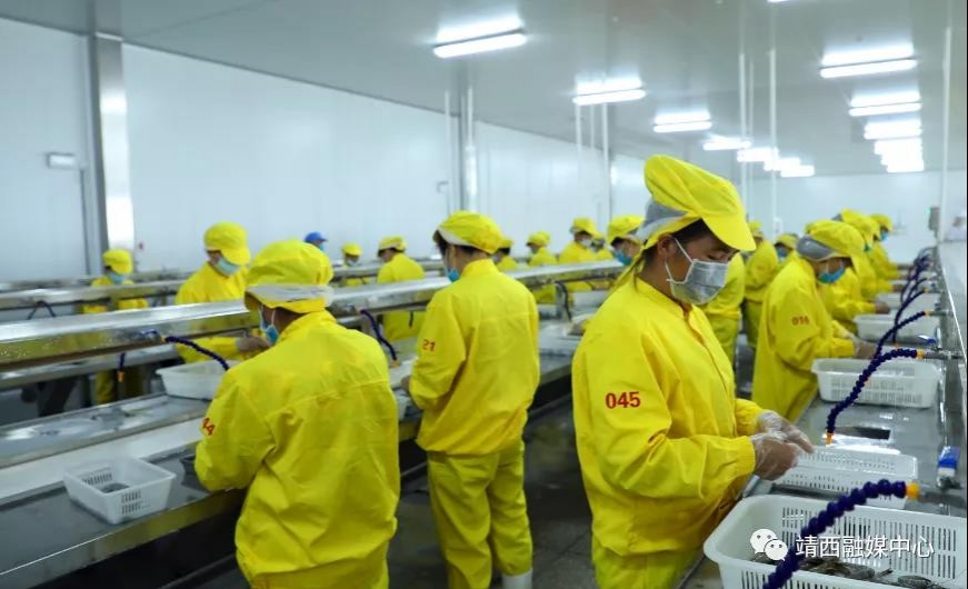 靖西：以文旅促发展 以口岸促脱贫 - 靖西市·靖西网