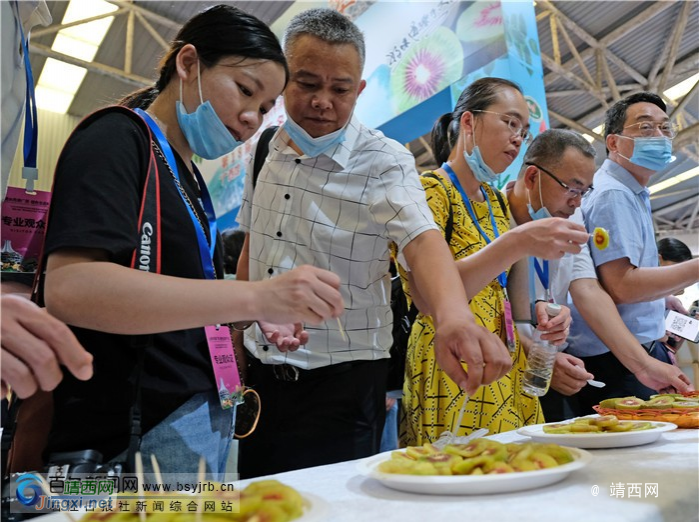 粤桂扶贫协作消费扶贫对接活动在广州举行 百色市共签约27个项目总投资66.71亿元 - 靖西市·靖西网