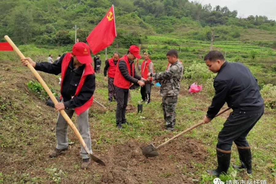 边境“志愿红”为乡风文明添彩 - 靖西市·靖西网