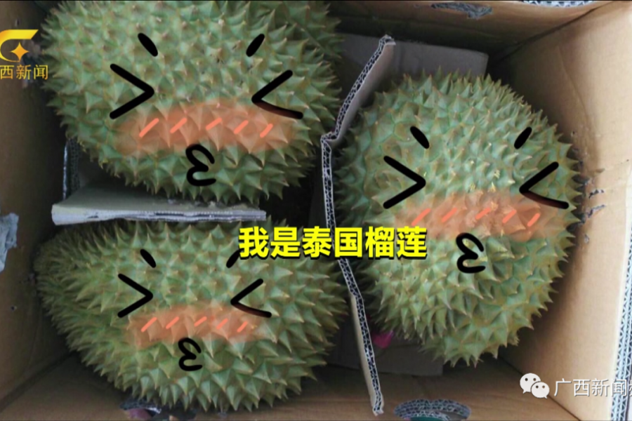 靖西人你吃到的东盟水果，每5斤就有3斤是从口岸入境的.... - 靖西市·靖西网