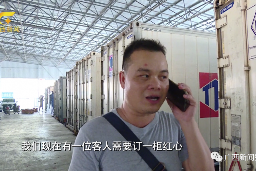 靖西人你吃到的东盟水果，每5斤就有3斤是从口岸入境的.... - 靖西市·靖西网