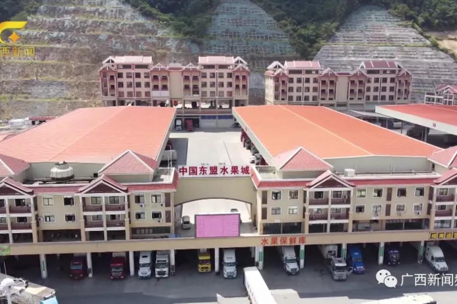 靖西人你吃到的东盟水果，每5斤就有3斤是从口岸入境的.... - 靖西市·靖西网
