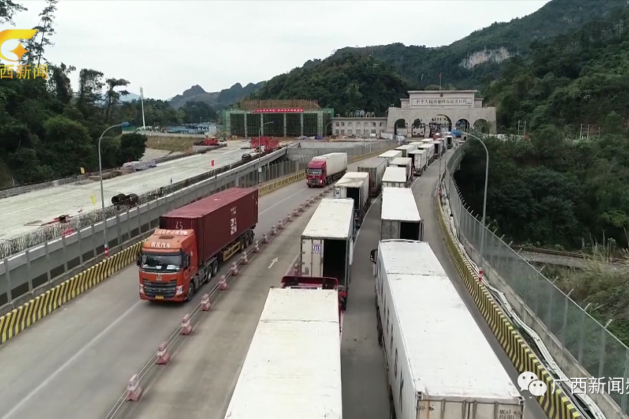 靖西人你吃到的东盟水果，每5斤就有3斤是从口岸入境的.... - 靖西市·靖西网