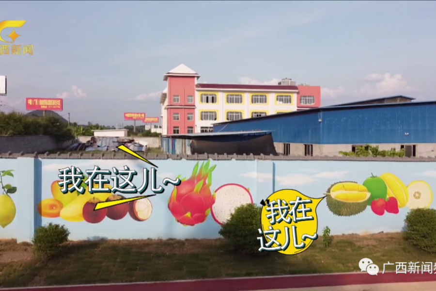 靖西人你吃到的东盟水果，每5斤就有3斤是从口岸入境的.... - 靖西市·靖西网