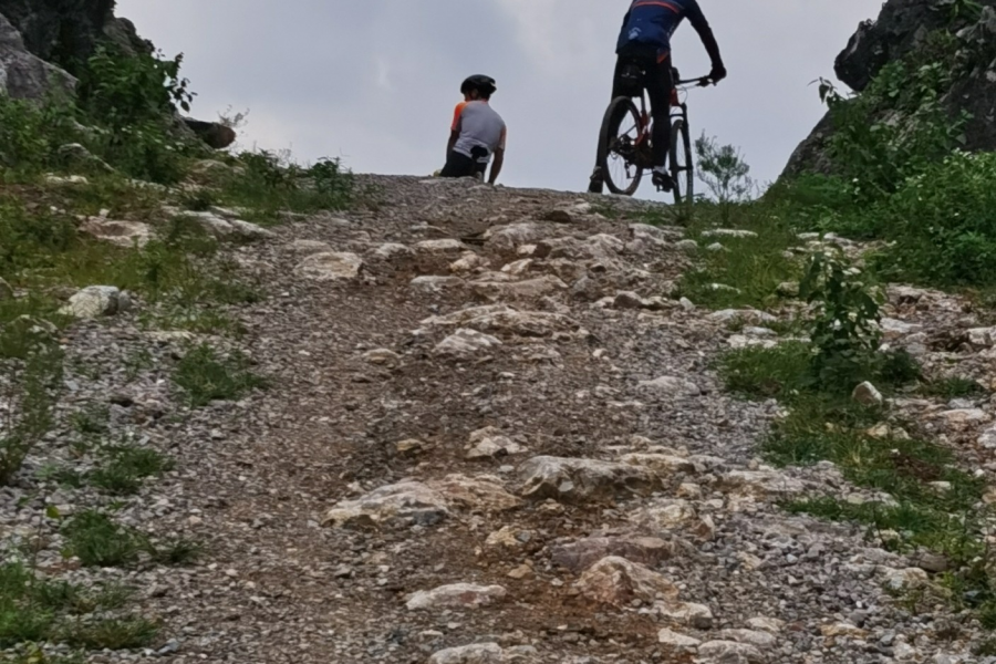 驰骋在丛林里在山路上的公路车 - 靖西市·靖西网