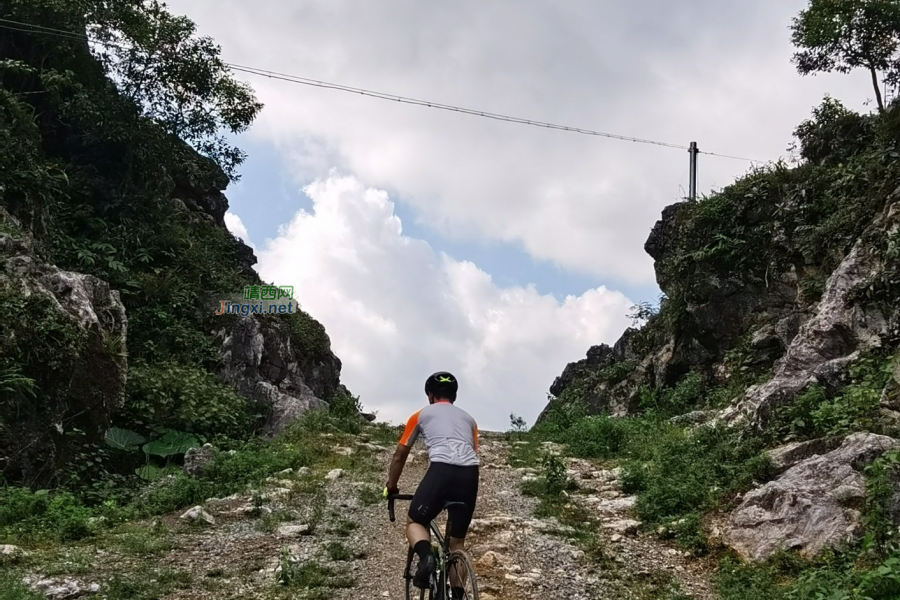驰骋在丛林里在山路上的公路车 - 靖西市·靖西网