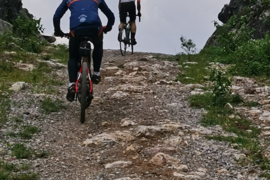 驰骋在丛林里在山路上的公路车 - 靖西市·靖西网