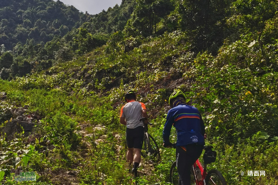 驰骋在丛林里在山路上的公路车 - 靖西市·靖西网