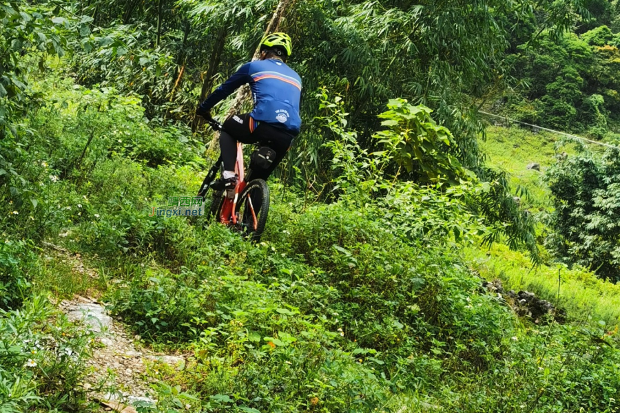 驰骋在丛林里在山路上的公路车 - 靖西市·靖西网